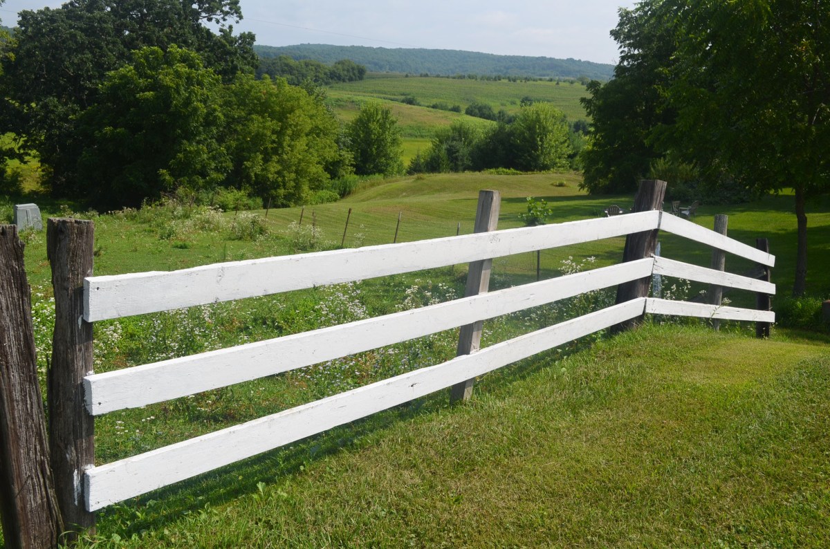 Finding self on the&nbsp;soil