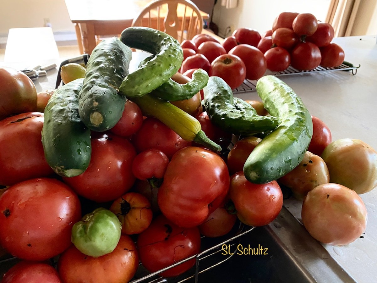 Pick, Pick, Pick, Pickin’ Through the&nbsp;Days